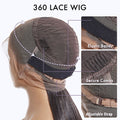 180% Density | 360 Lace Pre-Plucked Long Wig 100% Human Hair (Body Wave / Straight / Water Wave)