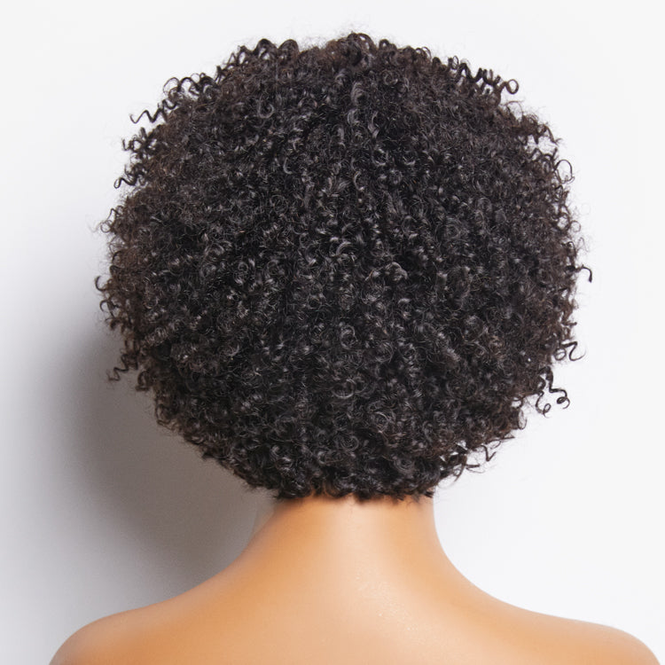 Natural Black Highlight Afro Curls Glueless Ready to Go Wig Beginner Friendly